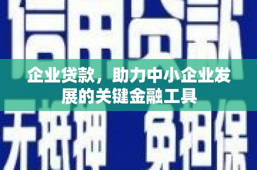 路环岛企业贷款，助力中小企业发展的关键金融工具