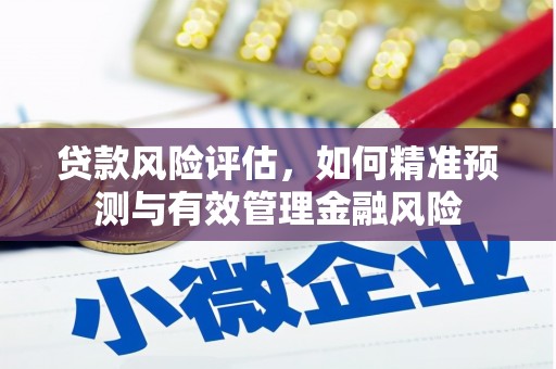 路环岛贷款风险评估，如何精准预测与有效管理金融风险