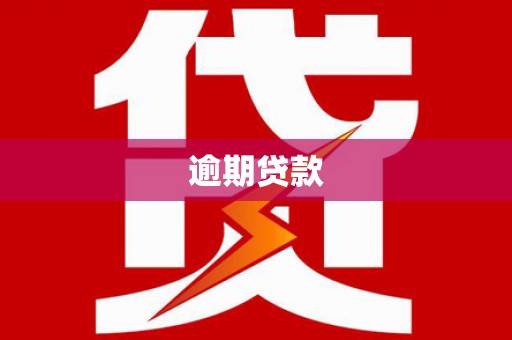 路环岛逾期贷款
