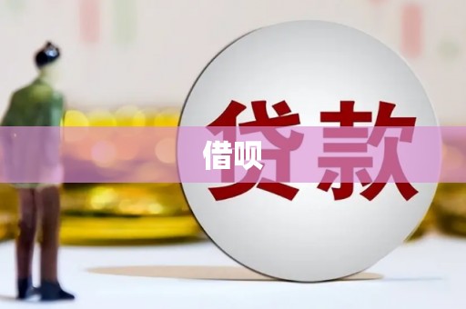 路环岛借呗