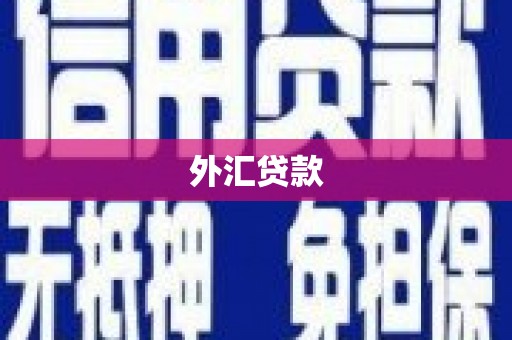 路环岛外汇贷款