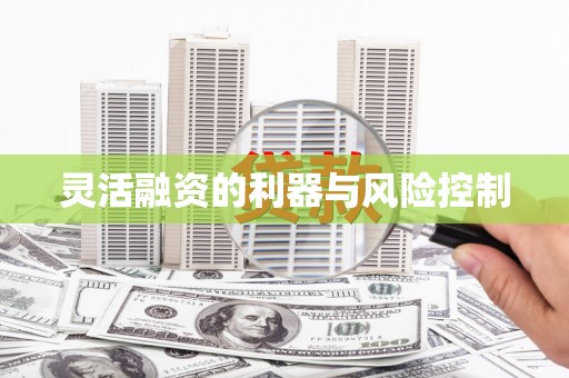 路环岛灵活融资的利器与风险控制