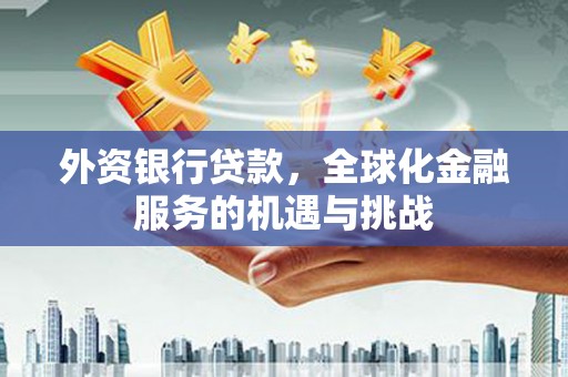 路环岛外资银行贷款，全球化金融服务的机遇与挑战
