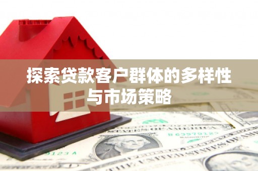 路环岛探索贷款客户群体的多样性与市场策略