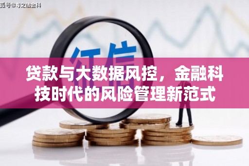 路环岛贷款与大数据风控，金融科技时代的风险管理新范式