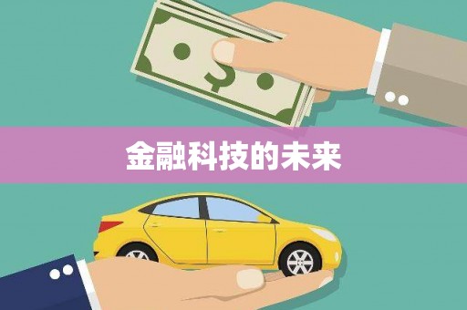 路环岛金融科技的未来