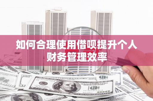 路环岛如何合理使用借呗提升个人财务管理效率