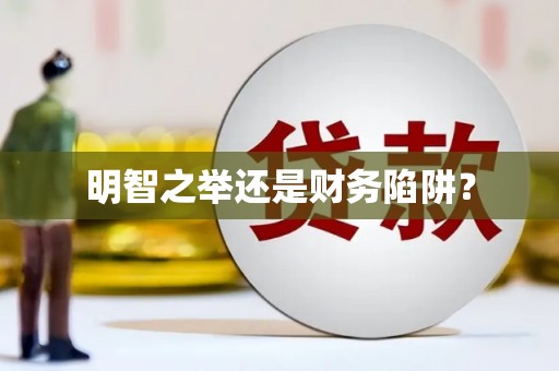 路环岛明智之举还是财务陷阱？