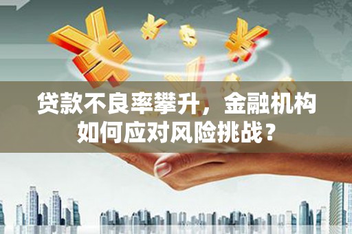 路环岛贷款不良率攀升，金融机构如何应对风险挑战？
