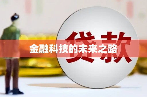 路环岛金融科技的未来之路