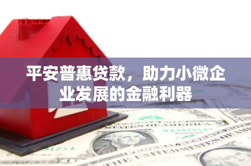 路环岛平安普惠贷款，助力小微企业发展的金融利器