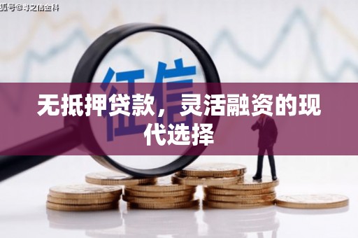 路环岛无抵押贷款，灵活融资的现代选择