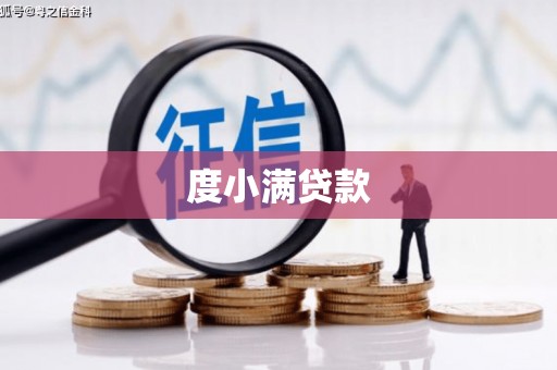 路环岛度小满贷款