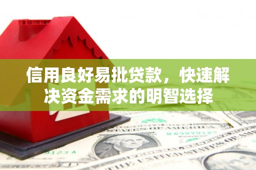 路环岛信用良好易批贷款，快速解决资金需求的明智选择