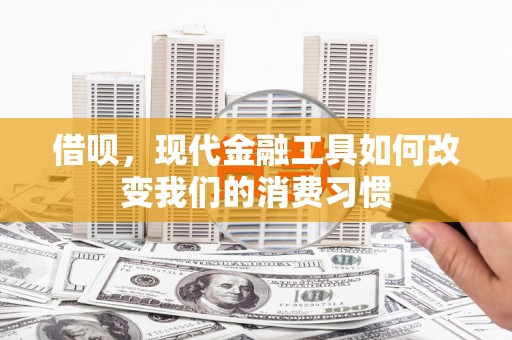 路环岛借呗，现代金融工具如何改变我们的消费习惯