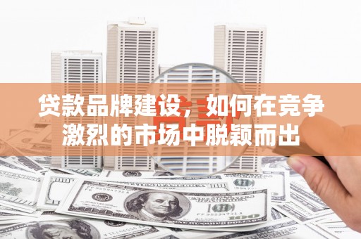 路环岛贷款品牌建设，如何在竞争激烈的市场中脱颖而出