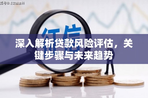 路环岛深入解析贷款风险评估，关键步骤与未来趋势