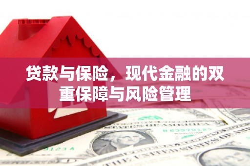 路环岛贷款与保险，现代金融的双重保障与风险管理