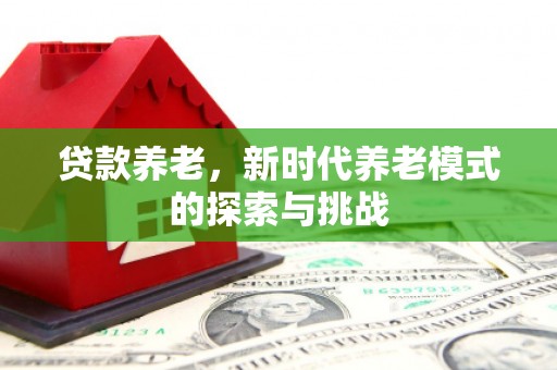 路环岛贷款养老，新时代养老模式的探索与挑战