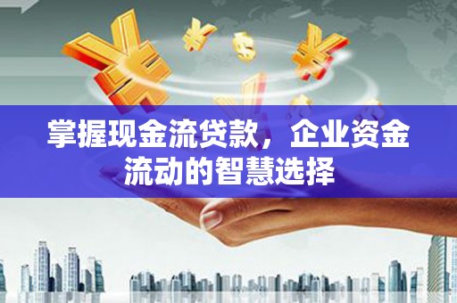 路环岛掌握现金流贷款，企业资金流动的智慧选择
