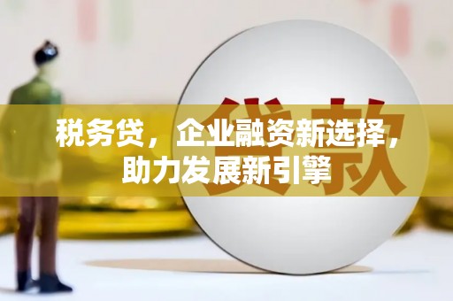路环岛税务贷，企业融资新选择，助力发展新引擎