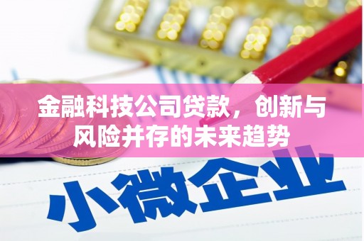 路环岛金融科技公司贷款，创新与风险并存的未来趋势