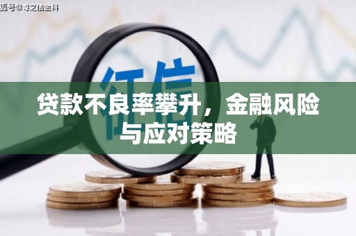 路环岛贷款不良率攀升，金融风险与应对策略