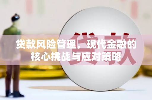路环岛贷款风险管理，现代金融的核心挑战与应对策略