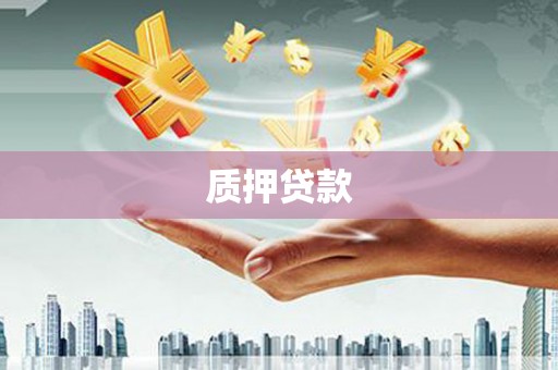 路环岛质押贷款