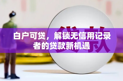 路环岛白户可贷，解锁无信用记录者的贷款新机遇