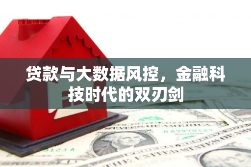 路环岛贷款与大数据风控，金融科技时代的双刃剑