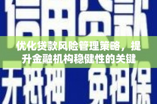 路环岛优化贷款风险管理策略，提升金融机构稳健性的关键