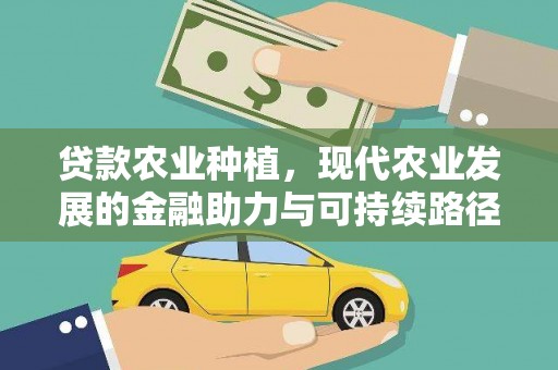 路环岛贷款农业种植，现代农业发展的金融助力与可持续路径