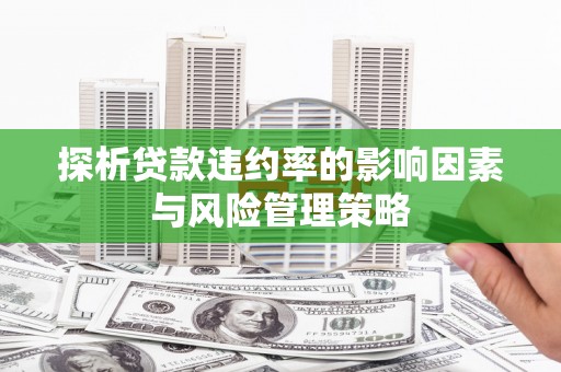路环岛探析贷款违约率的影响因素与风险管理策略