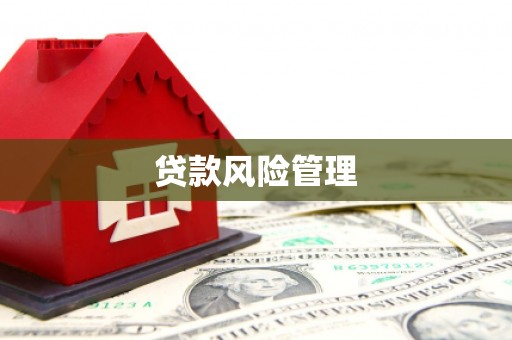 路环岛贷款风险管理