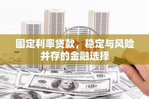 路环岛固定利率贷款，稳定与风险并存的金融选择