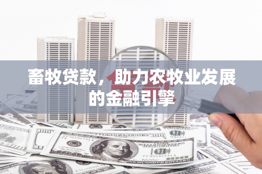 路环岛畜牧贷款，助力农牧业发展的金融引擎
