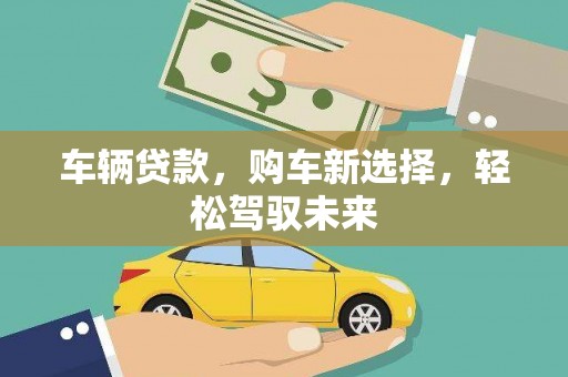 路环岛车辆贷款，购车新选择，轻松驾驭未来