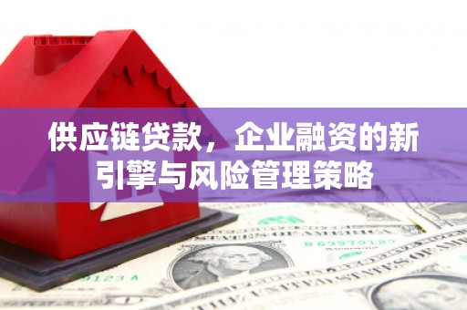路环岛供应链贷款，企业融资的新引擎与风险管理策略