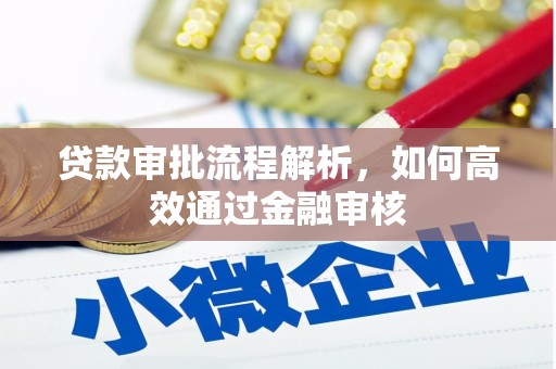 路环岛贷款审批流程解析，如何高效通过金融审核