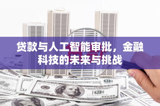 路环岛贷款与人工智能审批，金融科技的未来与挑战