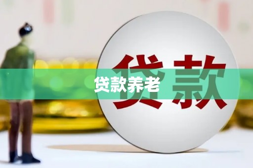 路环岛贷款养老
