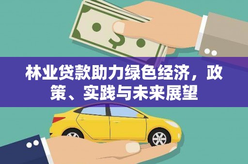 路环岛林业贷款助力绿色经济，政策、实践与未来展望