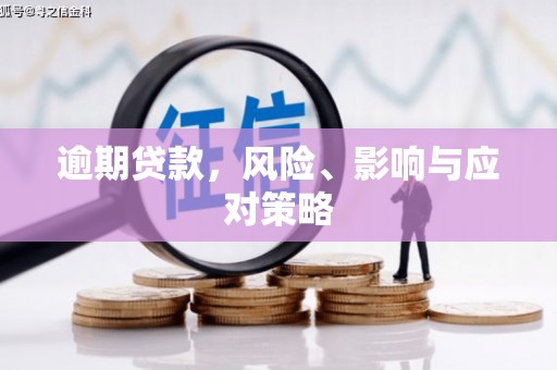 路环岛逾期贷款，风险、影响与应对策略