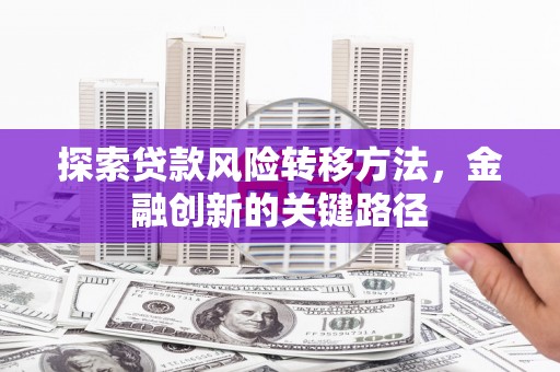 路环岛探索贷款风险转移方法，金融创新的关键路径