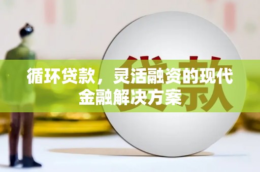 路环岛循环贷款，灵活融资的现代金融解决方案