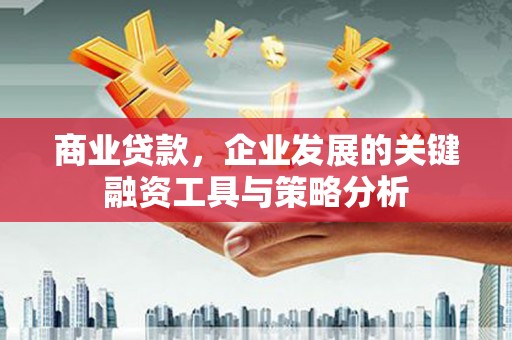 路环岛商业贷款，企业发展的关键融资工具与策略分析