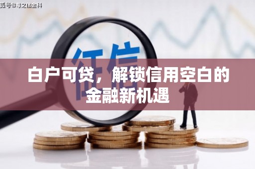 路环岛白户可贷，解锁信用空白的金融新机遇