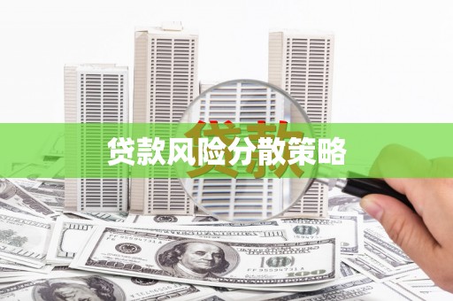 路环岛贷款风险分散策略
