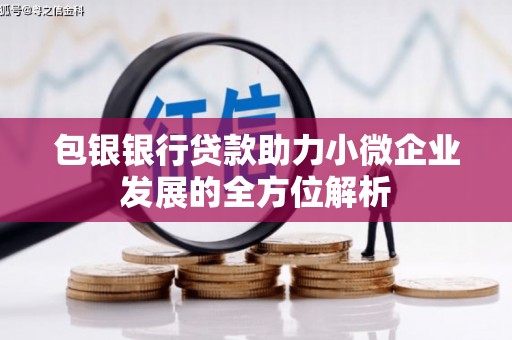 路环岛包银银行贷款助力小微企业发展的全方位解析